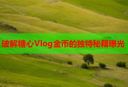 破解糖心Vlog金币的独特秘籍曝光