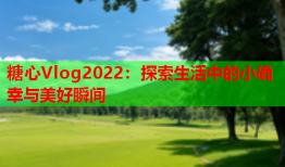 糖心Vlog2022：探索生活中的小确幸与美好瞬间