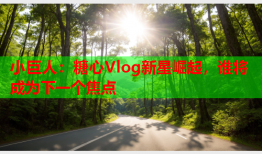 小巨人：糖心Vlog新星崛起，谁将成为下一个焦点