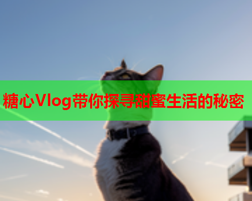 糖心Vlog带你探寻甜蜜生活的秘密